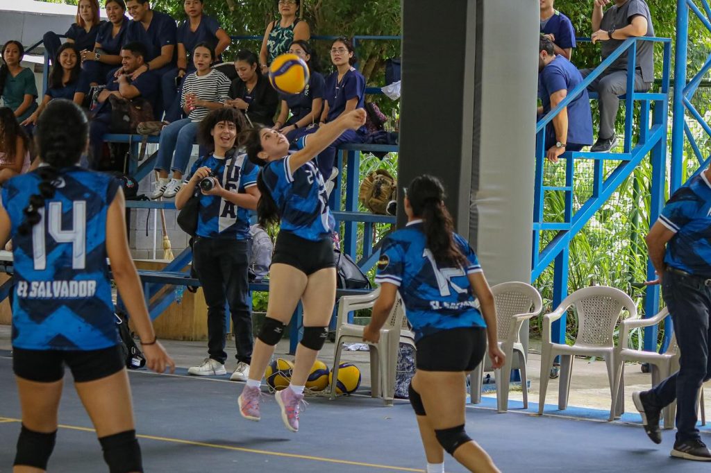 voleibol